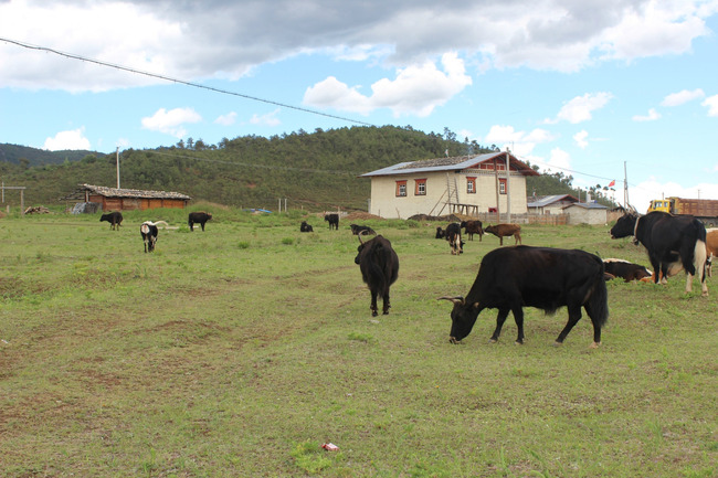 暑假云南旅游攻略8天,海南暑期云南旅游费用