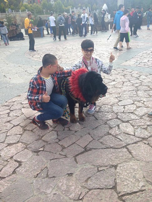 暑假云南旅游攻略8天,海南暑期云南旅游费用