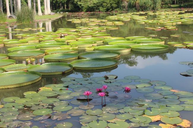 暑假云南旅游攻略8天,海南暑期云南旅游费用