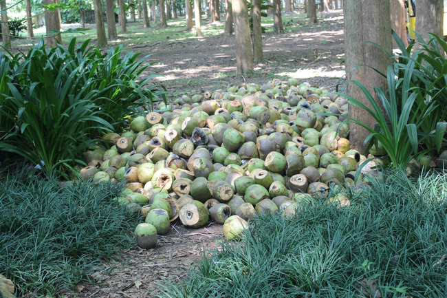 暑假云南旅游攻略8天,海南暑期云南旅游费用