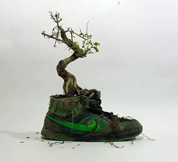 球鞋里面的圈子,鞋里面的世界