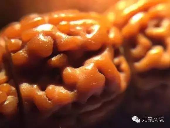 金刚菩提最不容易断齿的品种,哪种金刚菩提肉最多