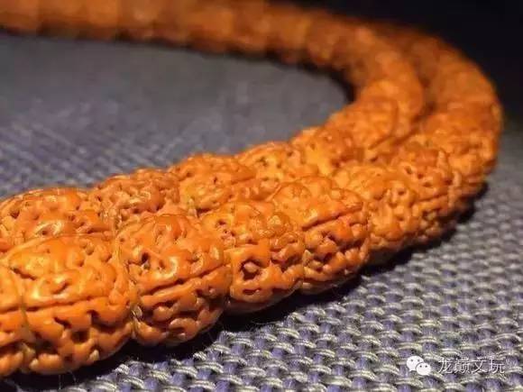 金刚菩提最不容易断齿的品种,哪种金刚菩提肉最多