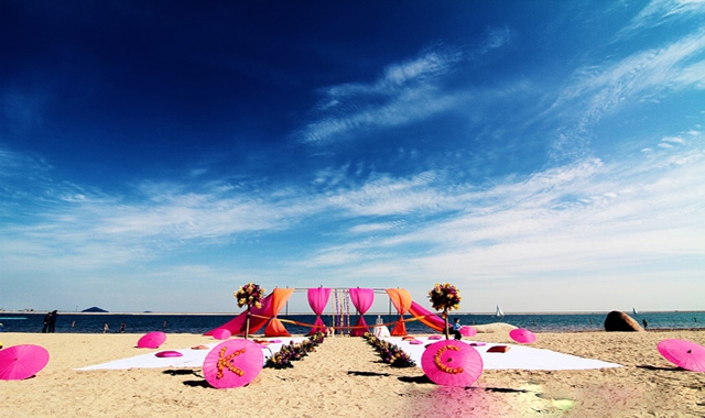 放飞蝴蝶,集体婚礼策划方案范文10篇