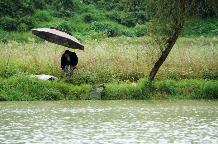 巴马世界旅居圣地,广西巴马长寿圣殿图片