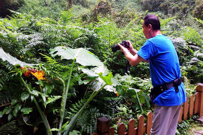 巴马世界旅居圣地,广西巴马长寿圣殿图片