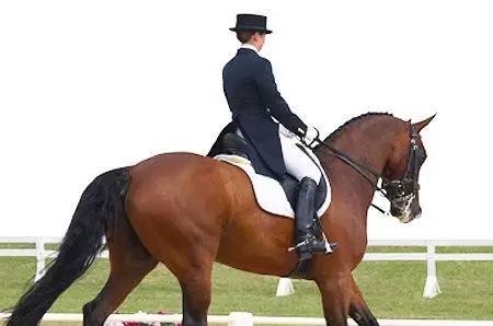 全球独一无二的车,全国独一无二的宝马轿车