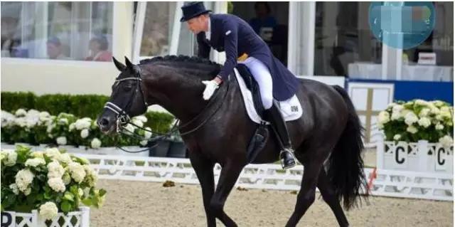 全球独一无二的车,全国独一无二的宝马轿车