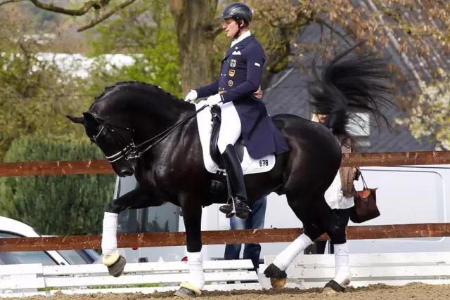 全球独一无二的车,全国独一无二的宝马轿车