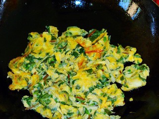 马齿菜,城里人专门到农村去挖,原来是因为这个