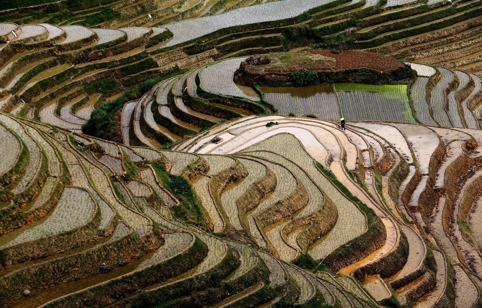 长发村红瑶淘米水洗发水直播,天下第一长发村用什么洗头发