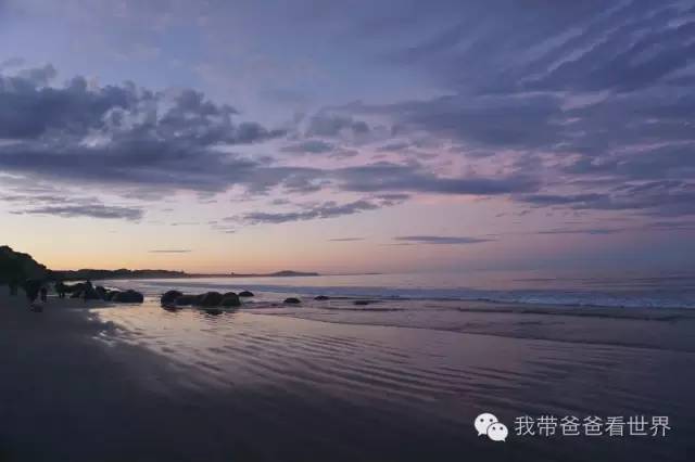 新西兰摩拉基大圆石的形成原因,新西兰圆石图片