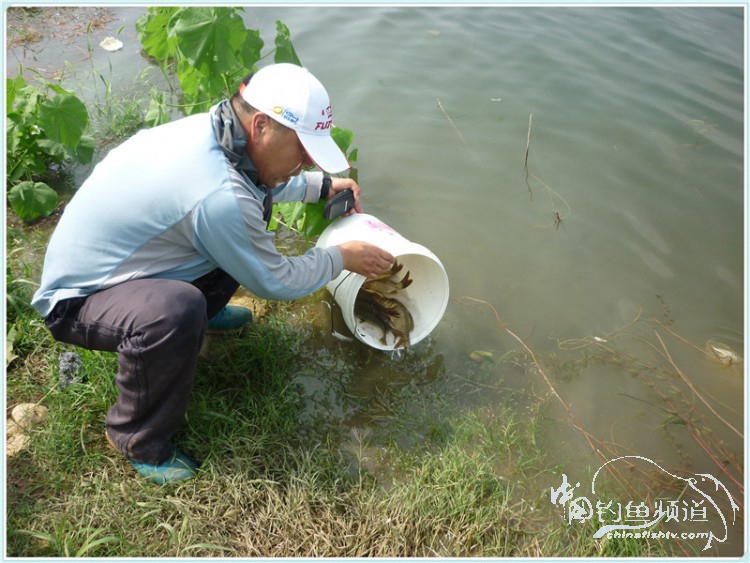 游钓中国丹江口市之行,游钓丹江300天