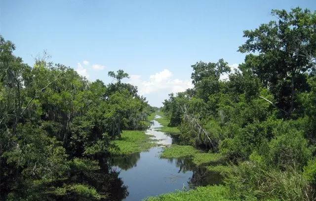 在新奥尔良一定要做的10件事
