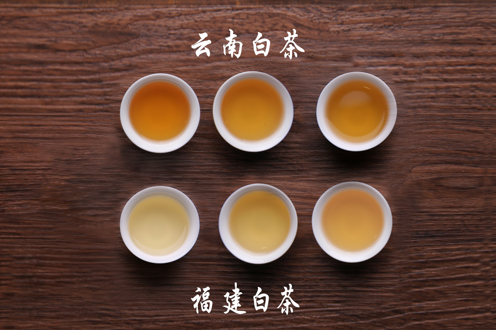 喂，福建白，你们家来了个亲戚叫云南白！