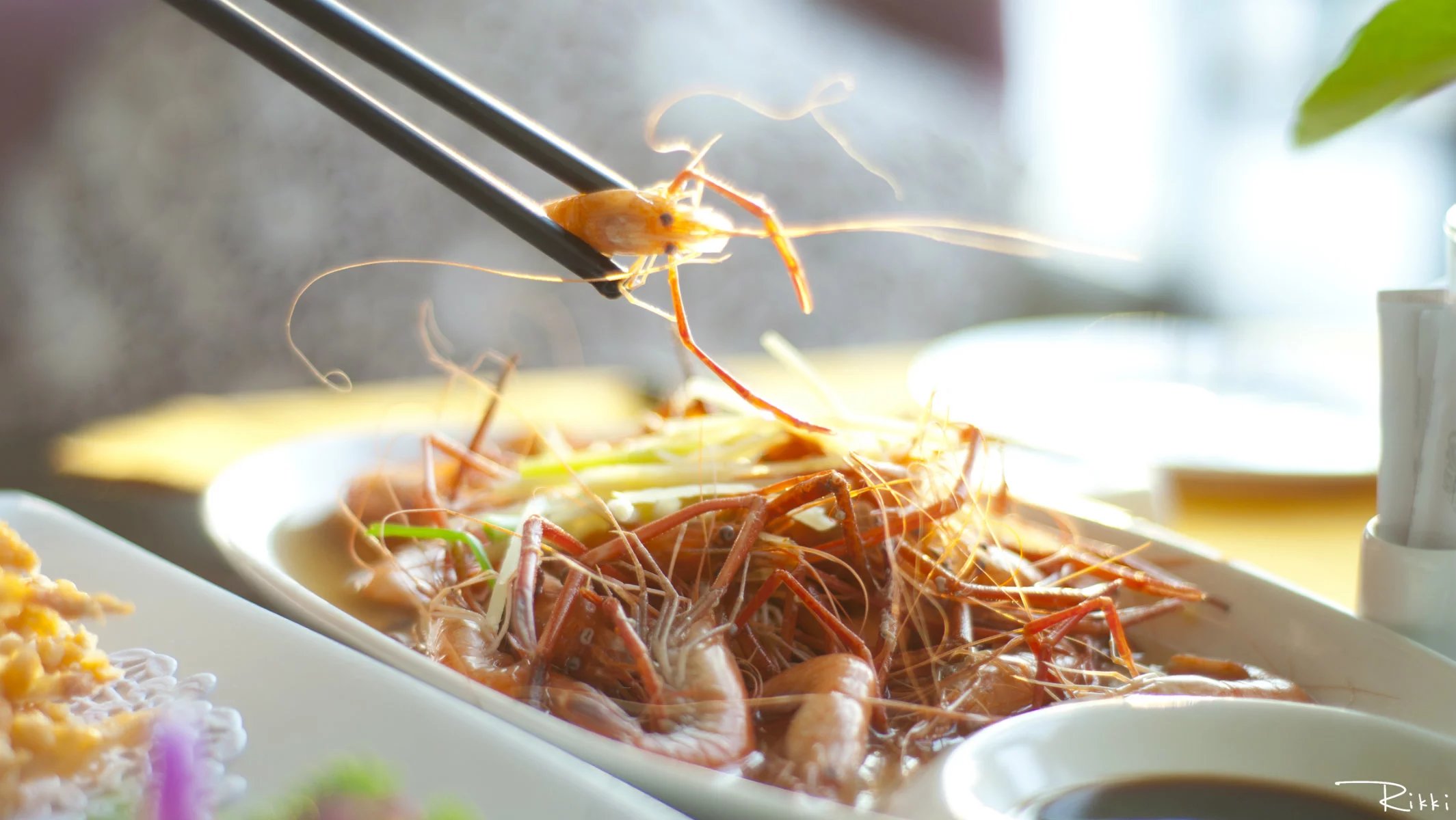 巢湖碧桂园南岸,巢湖南岸碧桂园