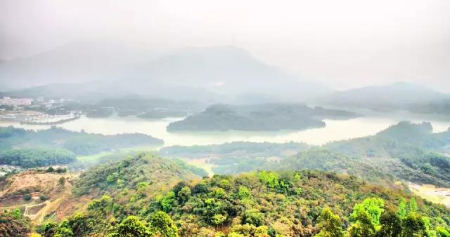 深圳小众游玩圣地,深圳一日游攻略最不值得去的地方
