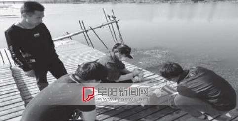 阜阳太和水质,阜阳沙河水质发展现状调查