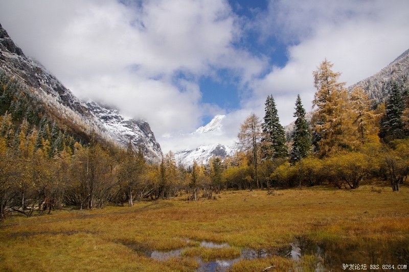 古道，细雨，暮雪-我的长坪沟半截秋色之旅
