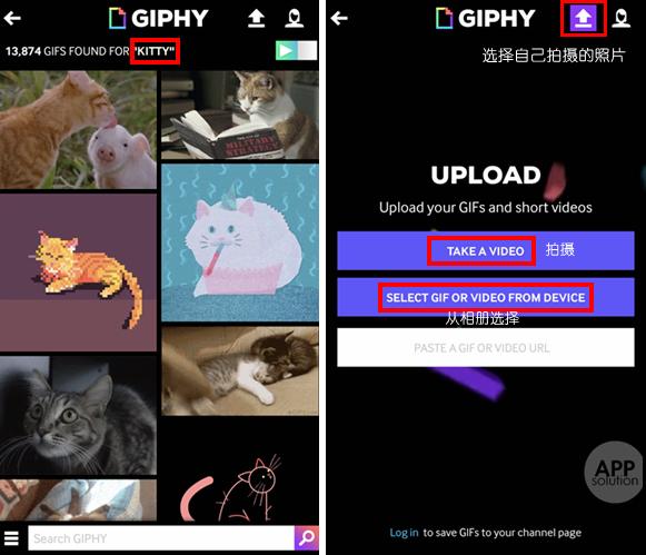 livephoto功能在哪里,livephoto三种效果