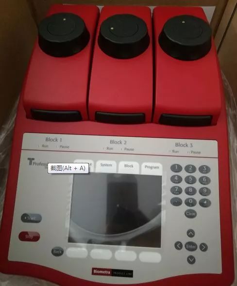 阿拉看环境|还记得记忆中的西郊公园吗?