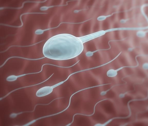 有遗传病备孕前需要准备些什么,备孕前遗传病有哪些