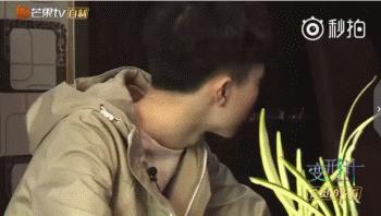 变形计陈新颖哭,变形计陈新颖结局