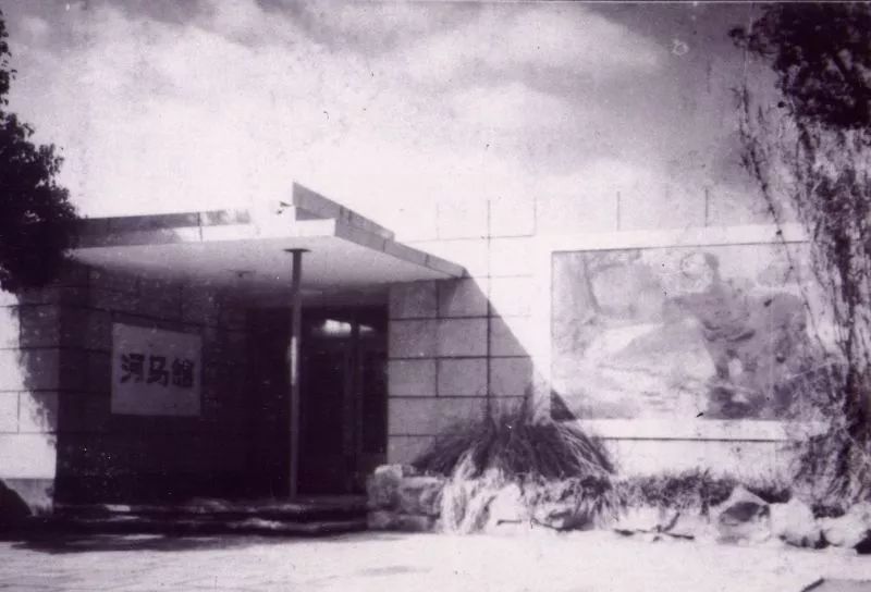 阿拉看环境|还记得记忆中的西郊公园吗?