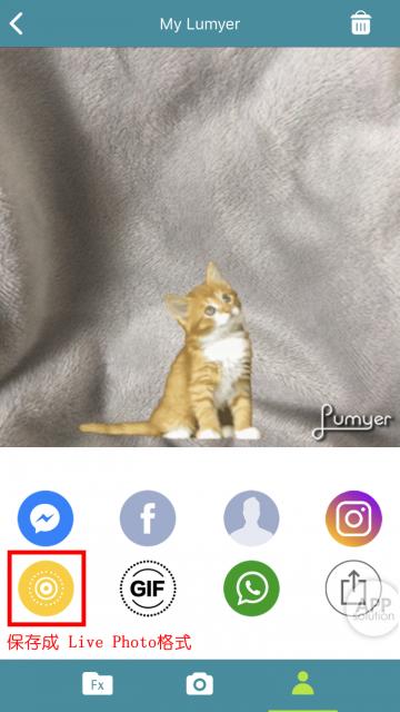 livephoto功能在哪里,livephoto三种效果