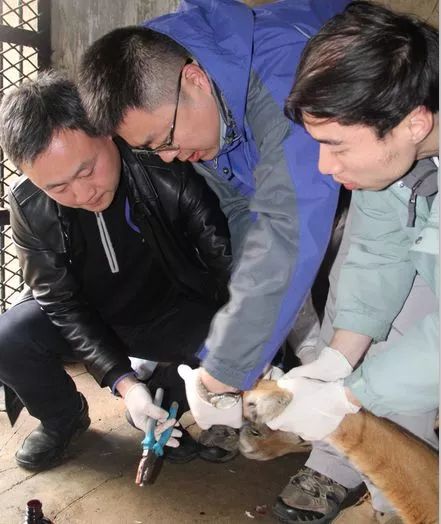 阿拉看环境|还记得记忆中的西郊公园吗?