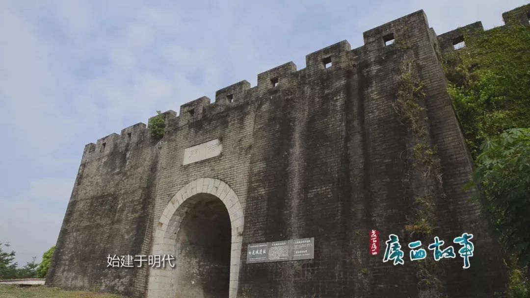 王冠上的绝世珠宝——珍珠传奇