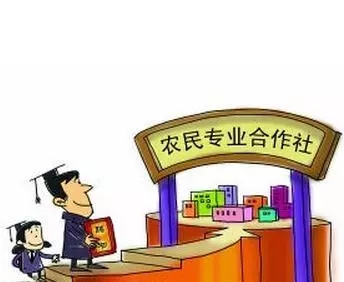 农村合作社和农户哪个补贴高,小农户种地可有补贴