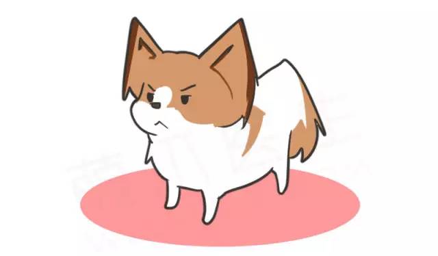 身娇贫乳双马尾，准备好舔屏了吗？！