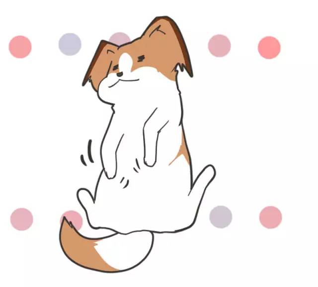 身娇贫乳双马尾，准备好舔屏了吗？！