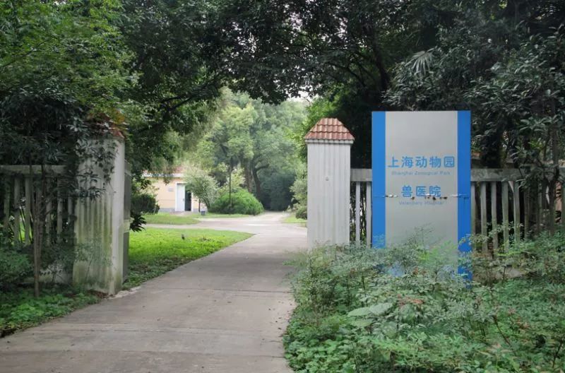 阿拉看环境|还记得记忆中的西郊公园吗?