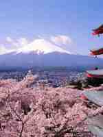 夏威夷不用买胸罩吗,夏威夷女性可以穿bra吗