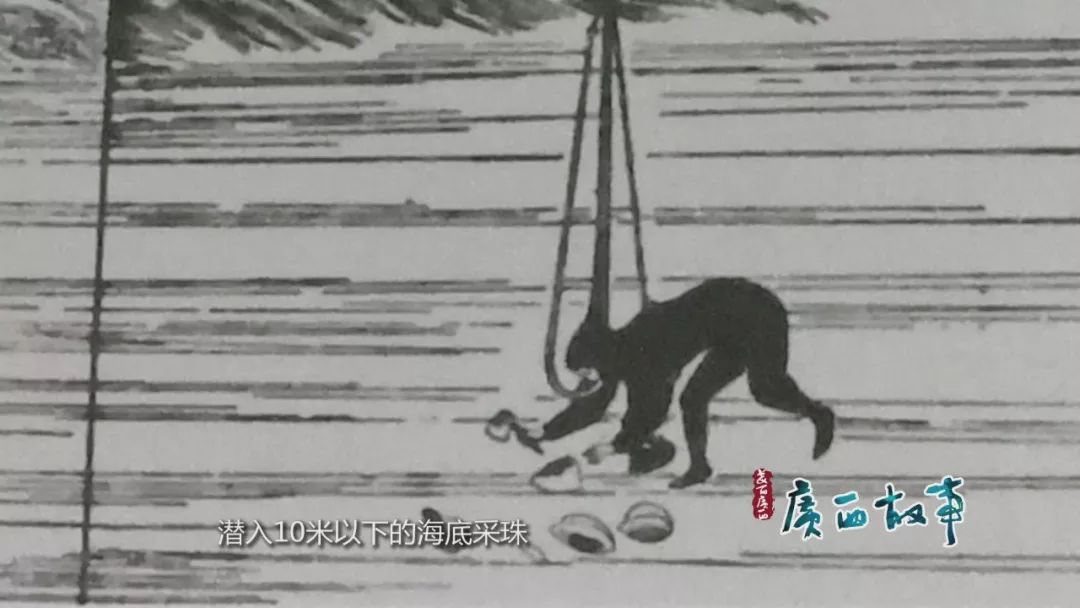 王冠上的绝世珠宝——珍珠传奇