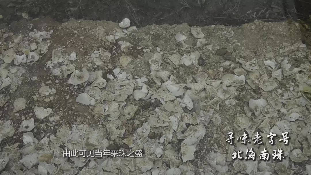 王冠上的绝世珠宝——珍珠传奇