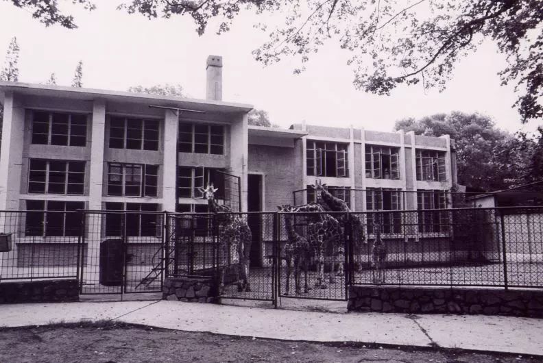 阿拉看环境|还记得记忆中的西郊公园吗?