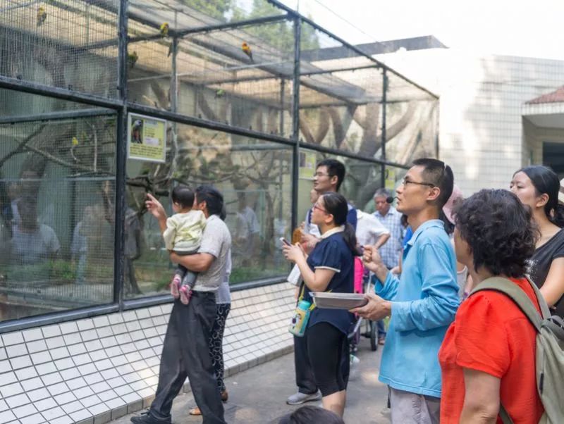 阿拉看环境|还记得记忆中的西郊公园吗?