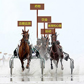 提子适合哪些人吃,这个季节可以吃提子吗