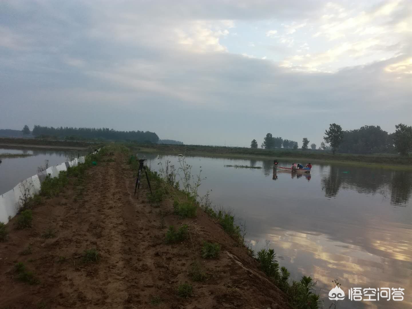 没接触过水产养殖的人如何养小龙虾?