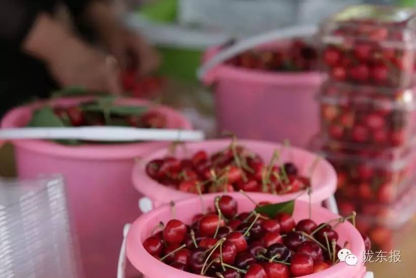 惊呆樱桃红了,美女盛情邀请,你是约呢,约呢,还是约呢!