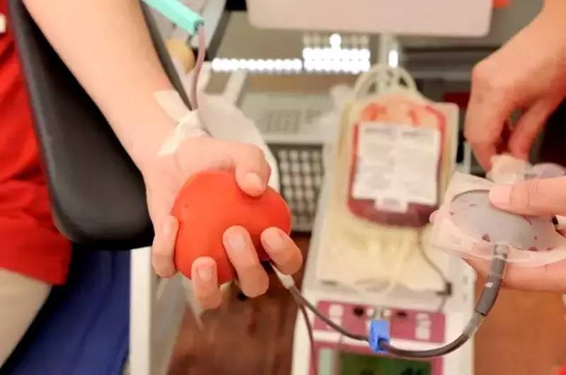 献血真相,献血真相揭秘