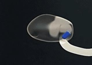 武汉的光谷是个什么地方,武汉最神奇的地方东湖高新