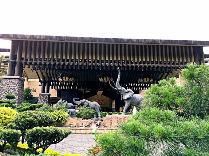 带着迅猛龙去远行之广州篇