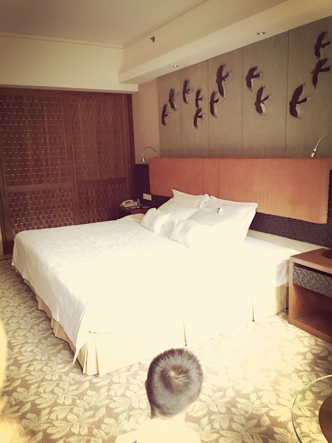 带着迅猛龙去远行之广州篇