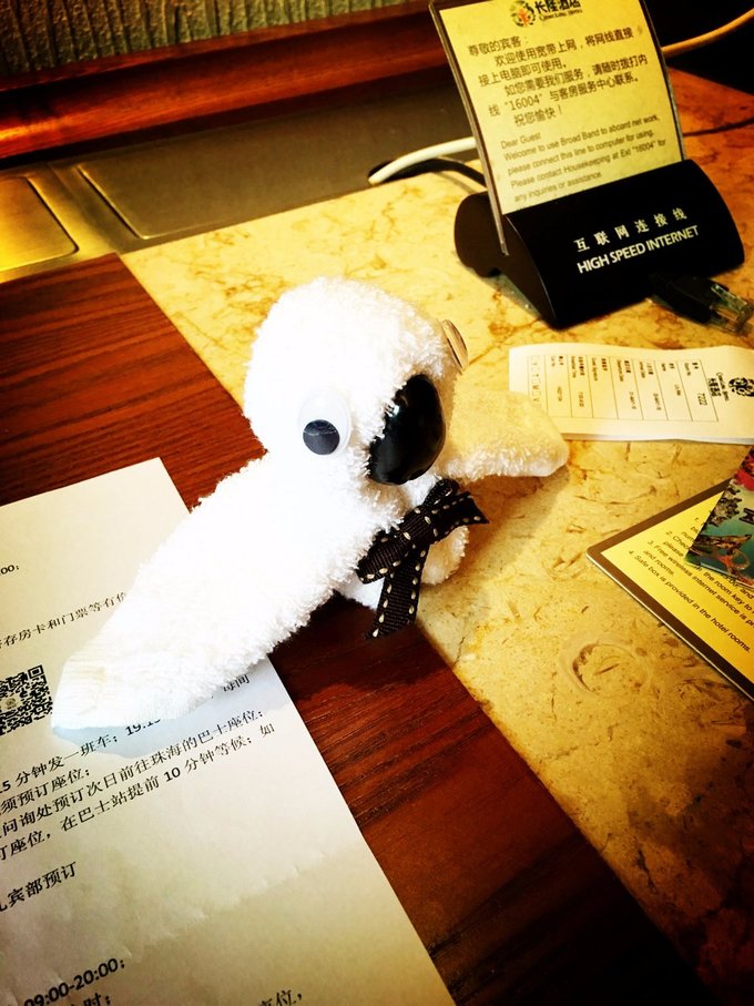 带着迅猛龙去远行之广州篇