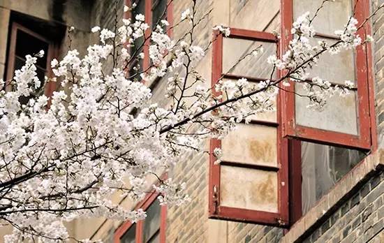 武汉的光谷是个什么地方,武汉最神奇的地方东湖高新