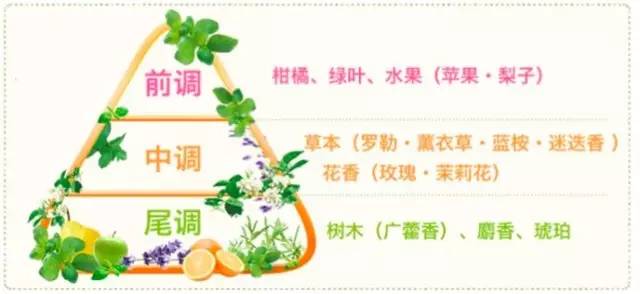 日本无硅油洗发水推荐红榜,10款无硅洗发水排行榜飘柔